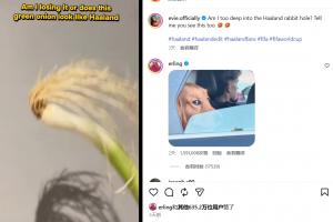 世界杯在线直播_世界杯高清视频直播_世界杯免费无插件观看